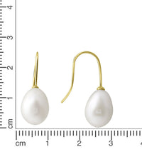 Ohrhänger 585 Gelbgold glanz Süßwasserperle 8 - 8,5mm - Avrum