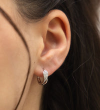 Ohrringe Silber 925 rhodiniert mit 24x Zirkonia weiß - Avrum