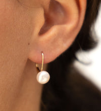 Ohrringe 333 Gold Perlen weiß 8 - 8,5mm - Avrum