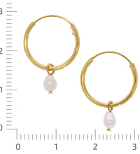 Ohrringe Silber 925 vergoldet mit weißen Perlen 3x5mm - Avrum